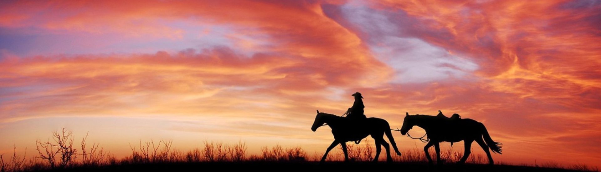 Cowboy sunset